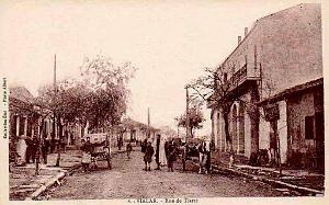 Vialar 03